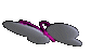 ani-kupu.gif (14453 bytes)